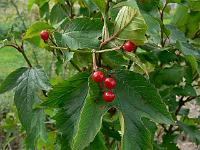 2010-09-09_10-06-41_0038