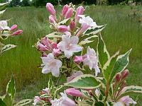 2010-06-26_09-01-57_0116