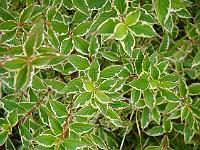 2012-10-05_16-32-12_0043