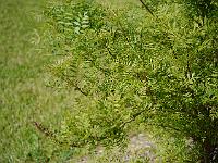 2012-05-27_08-30-23_0081