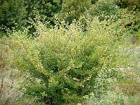 2012-10-04_09-09-37_0120