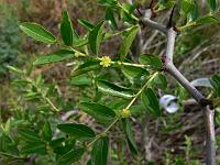 2010-07-23_09-08-03_0035