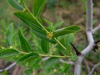 2010-07-29_07-52-56_0098