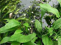 06-09-2006_15-00-22_10