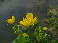 23-04-2007_19-28-09_43